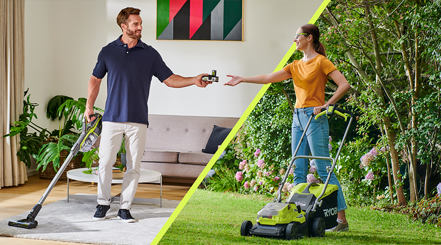 VIENO akumuliatoriaus